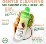 TropiClean Coconut Hypoallergenic Dog & Cat Shampoo - Image 2